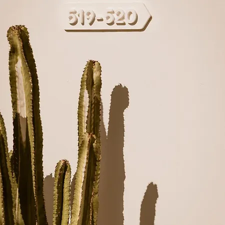 Lovia Mykonos (adults Only)